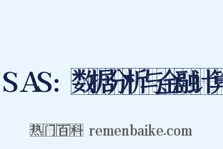 SAS:数据分析与金融计算是什么意思的图片